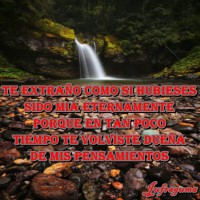 /album/fotogaleria/te-extrano-2-jpg/